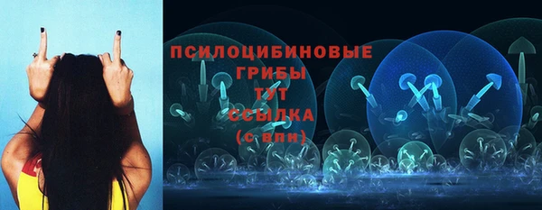 эйфоретик Майский