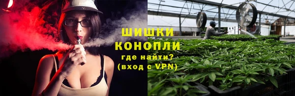 эйфоретик Майский